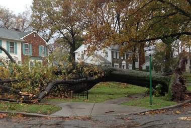 Storm Damage